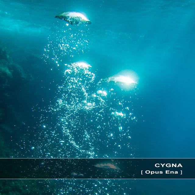 Cygna Photo