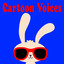 Cartoon Voices Sound Effects Albumcover
