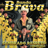 Banda Brava profile