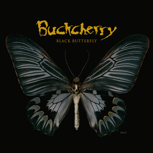 Black Butterfly cover