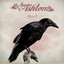 Thief cover