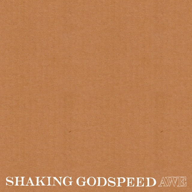 Shaking Godspeed Photo