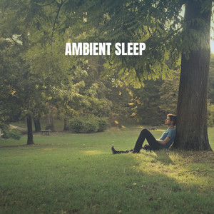 Ambient Sleep album