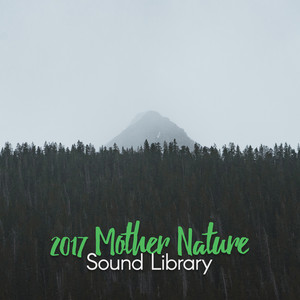 2017 Mother Nature Sound Library album