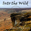 Into the Wild Albumcover