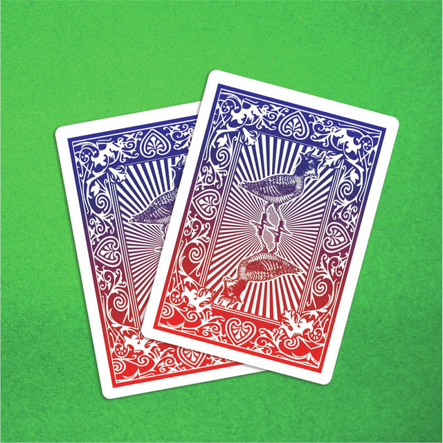 Rags And Aces cover