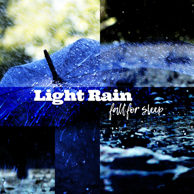 Light Rain Fall for Sleep