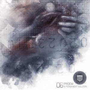 A Permanent Solution cover