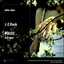 JS Bach - Mass in B Minor Albumcover