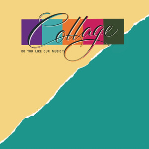 Do You Like Our Music? cover