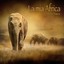 La mia Africa (Musiche dal mondo) Albumcover