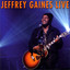 Jeffrey Gaines Live cover
