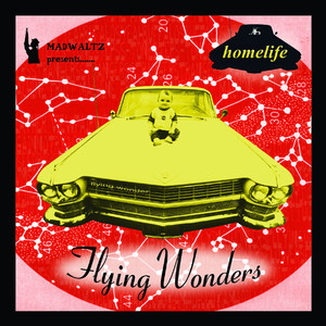 Flying Wonders cover