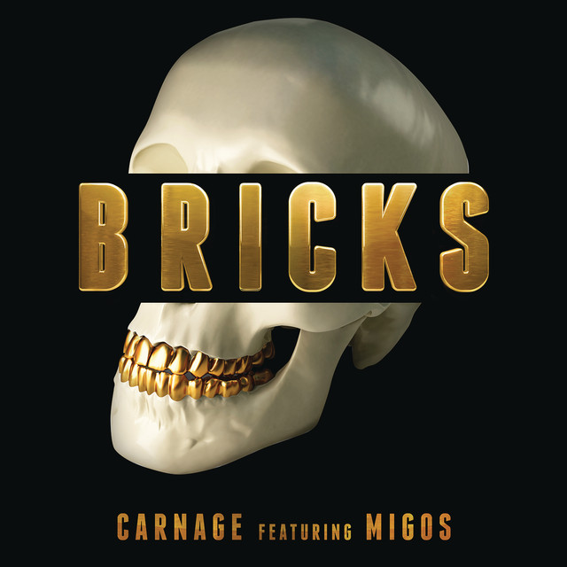Bricks cover
