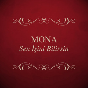 Sen İşini Bilirsin cover