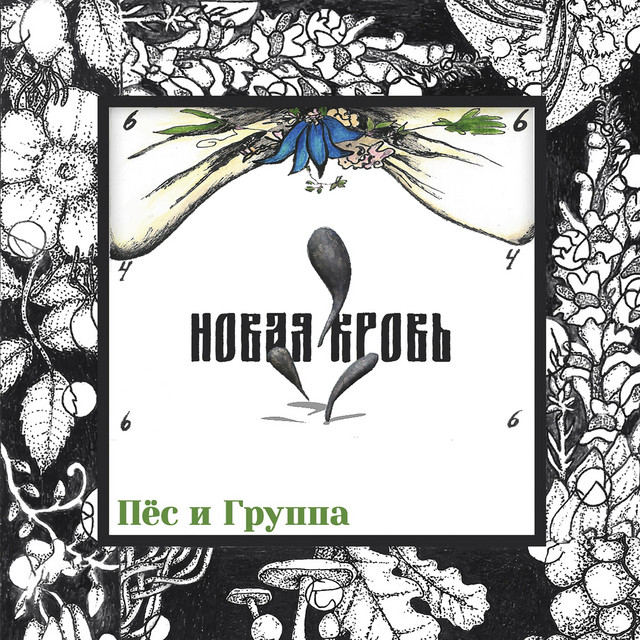 Пёс и группа Photo