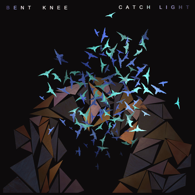 Catch Light cover