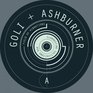 Ashburner & Goli