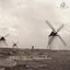 Scarlatti: Sonatas Albumcover