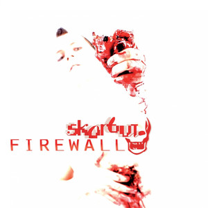 Firewall cover