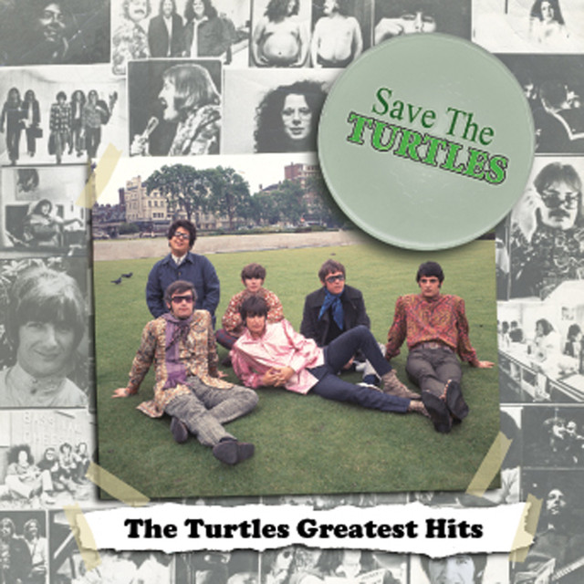 Save The Turtles: The Turtles Greatest Hits cover