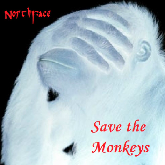 Northface Photo