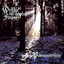 Within the Ancient Forest cover