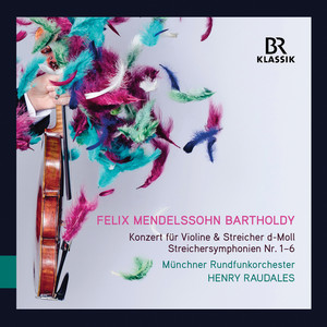 Violin Concerto in D Minor / String Symphonies cover