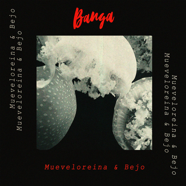 Banga cover