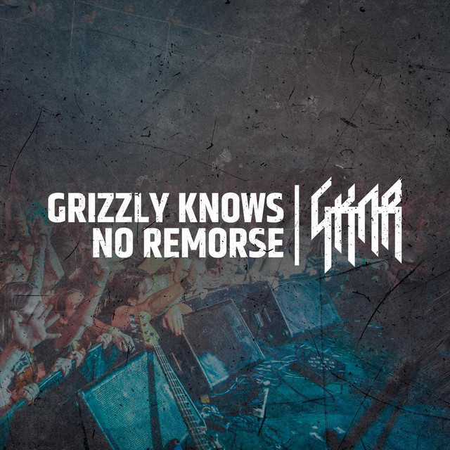 Grizzly Knows No Remorse Photo