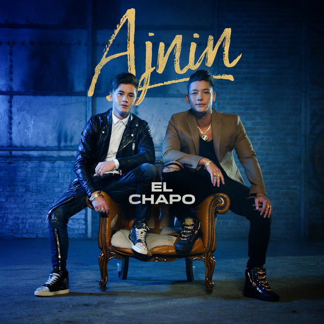 Musik Artist Ajnin