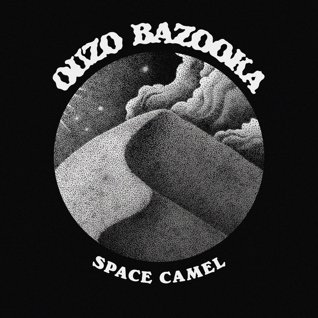 Space Camel cover