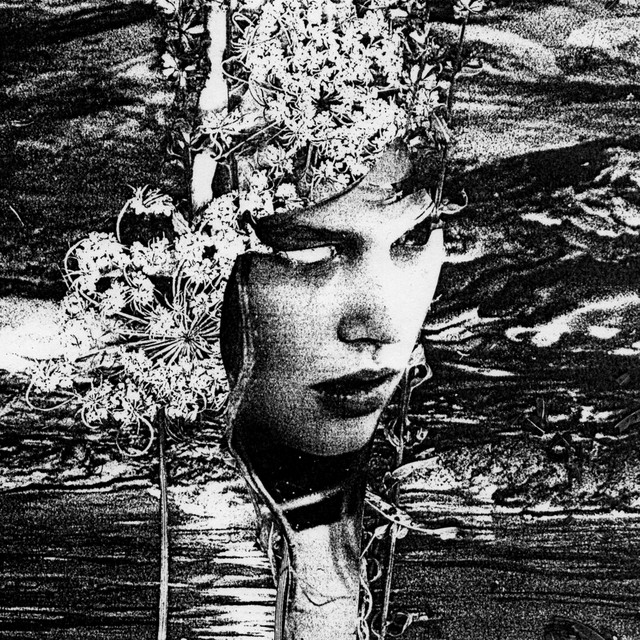 Belladonna Grave Photo