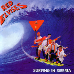 Surfing in Siberia cover