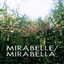 Mirabella Albumcover