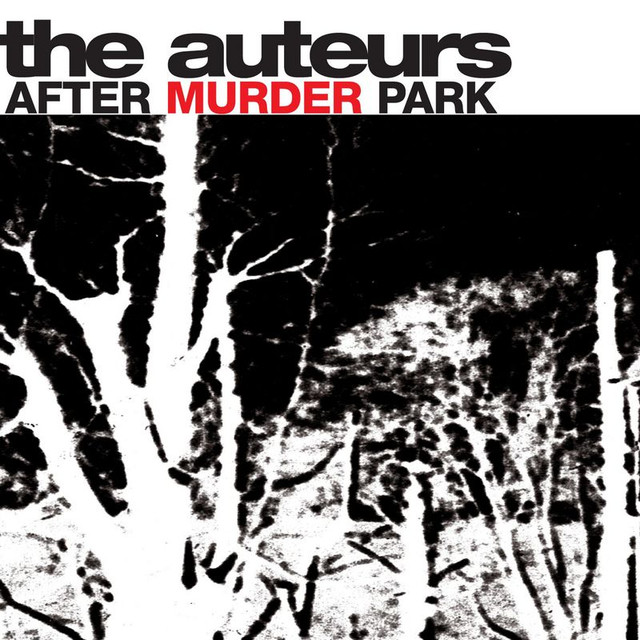 After Murder Park cover
