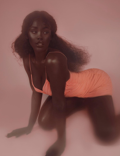 Tanerélle photo