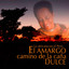Lo Africano en el Perú: El Amargo Camino de la Caña Dulce cover