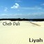Cheb Dali, Liyah Albumcover