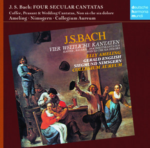 Weltliche Kantaten cover