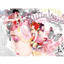Twinkle cover