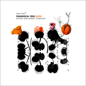 An Intermittent Procession cover