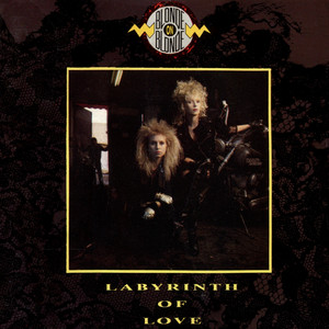 Labyrinth of Love cover