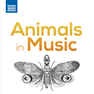 Animals in Music album