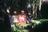 Isla de Caras Photo