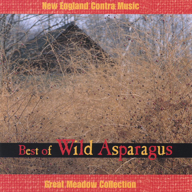Wild Asparagus photo