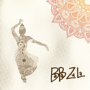 Baba Zula Box Set album