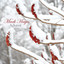 Advent Albumcover