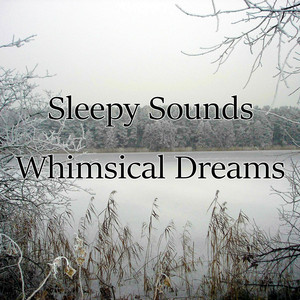 Sleepy Sounds Whimsical Dreams album