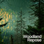 Woodland Repose Albumcover